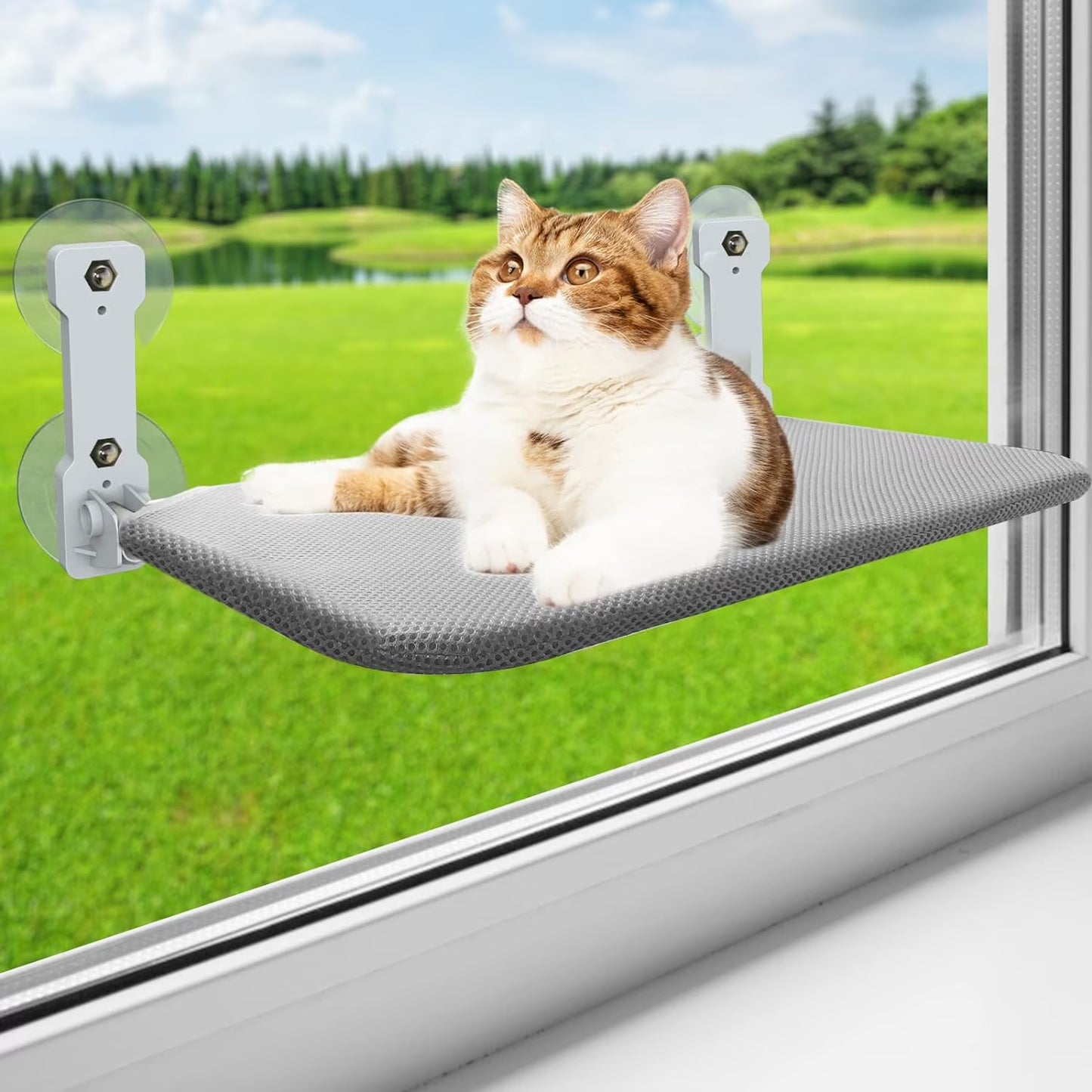 Cat Window Perch, HDJ Kitten Hammock & Shelf for Wall ,Foldable Pet Beds for Indoor Cat, Gray